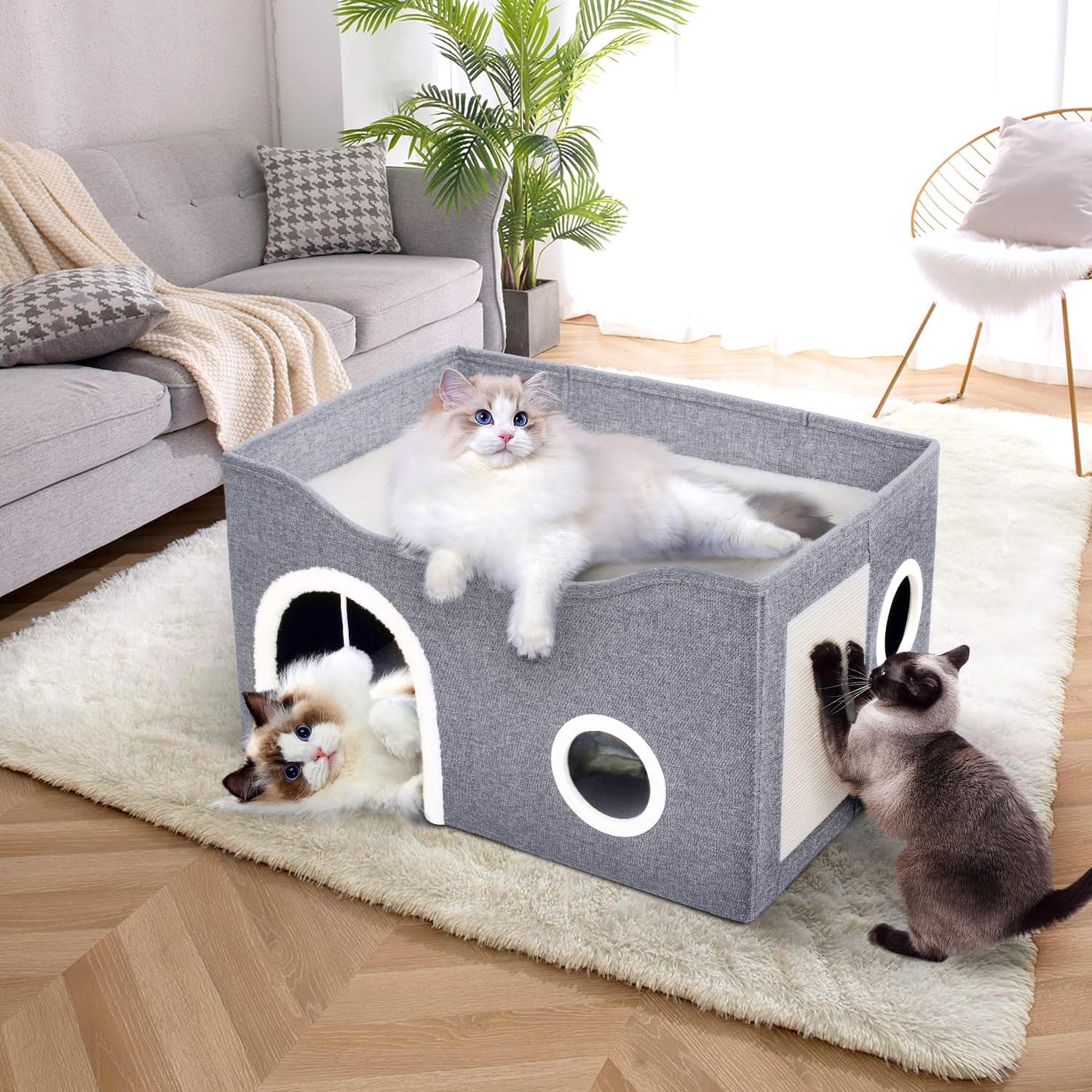 Why Cats Love the Heeyoo Cat Bed Cave