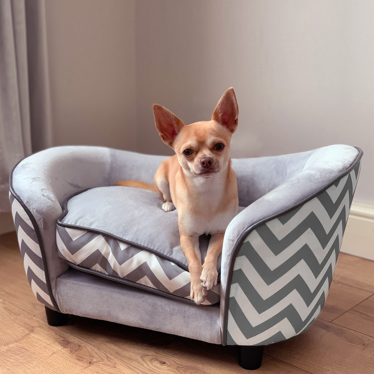 dogs sofa